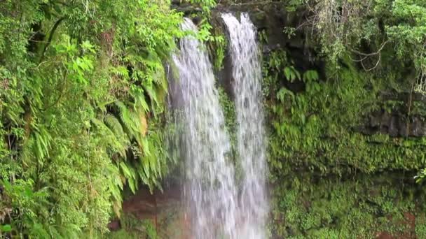 滝。アンバー山脈、マダガスカルの国立公園 — ストック動画