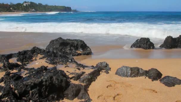 Sulla spiaggia di Boucan Canot. Riunione — Video Stock