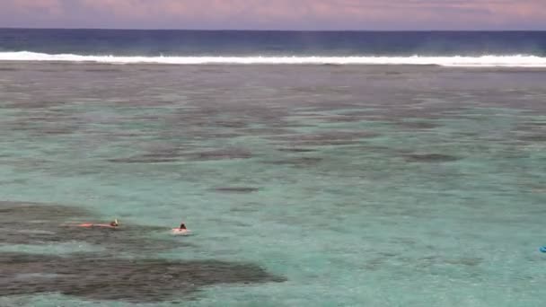 Dans la lagune de l'Ermitage (Ermitage-Les-Bains). Saint-Paul, Réunion — Video