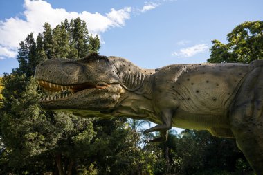 Tyrannosaurus Rex kükreyen Perth hayvanat bahçesinde