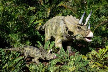 Perth Hayvanat Bahçesi fern ormanda saklanıyor triceratops aile