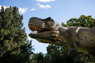 Tyrannosaurus Rex kükreyen Perth hayvanat bahçesinde