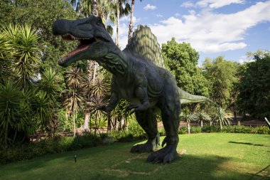 Kükreyen Spinosaurus modelini Perth hayvanat bahçesinde görüntüleyin.