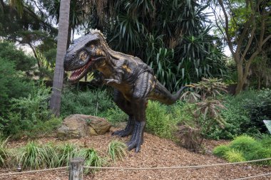 Kükreyen Nanotyrannus modelini Perth hayvanat bahçesinde görüntüleyin.