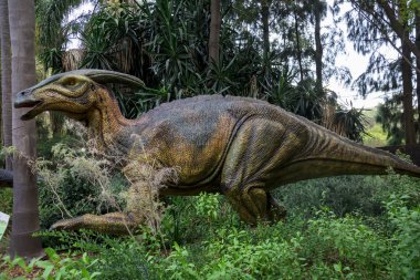 Bir çalı gizleme Parasaurolophus Perth hayvanat bahçesinde modelini görüntüleyin