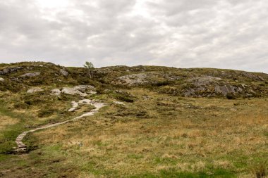 Mosteroy Adası, Rennesoy Kommune, Stavanger, Norveç, Mayıs 2018 'deki Mastravarden tepesine giden yürüyüş pisti.