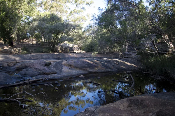 Ein kleiner landschaftlicher Teich im john forrest nationalpark — Stockfoto