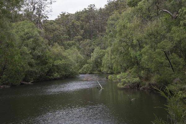 Warren floden landskap i Warren National Park — Stockfoto