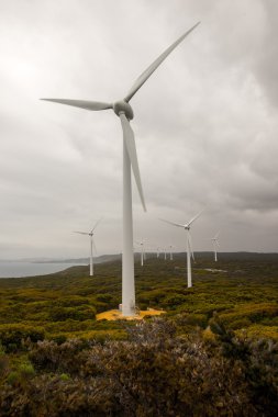 Torndirrup Milli Parkı yakınlarındaki bulutlu bir havada Albany Rüzgar Çiftliği'nin doğal manzarası