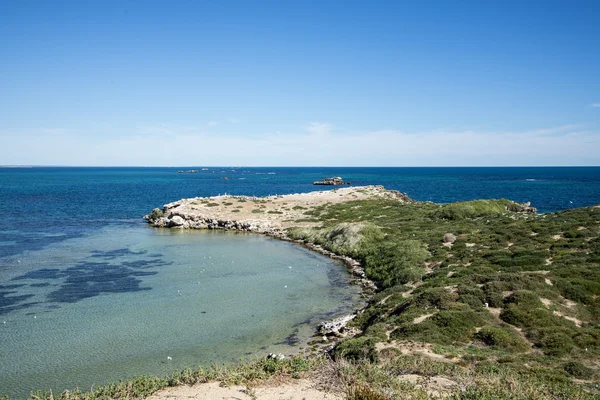 A scenic view of Penguin Island peninsula in Rockingham — Stock Photo, Image