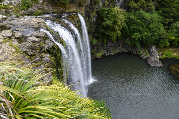 ニュージーランドのワンガレイの滝の美しい景色 — ストック写真
