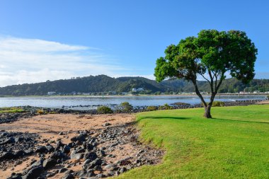 Waitangi Plajı'ndan Paihia sahil manzarası üzerinden manzara, Yeni Zelanda