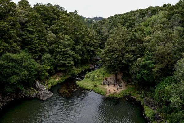 Veduta della riserva naturale della foresta di Whangarei dalla cascata — Foto Stock