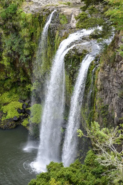 Una vista panoramica della cascata Whangarei in Nuova Zelanda — Foto Stock