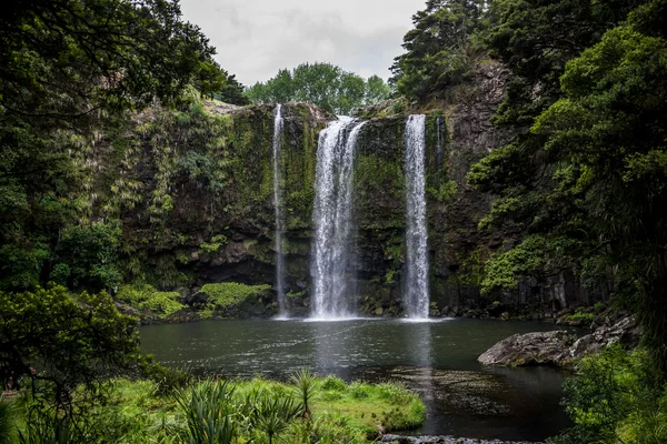 Una vista panoramica della cascata Whangarei — Foto Stock