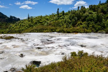 Doğal manzaralı Orakei Korako jeotermal Park, Yeni Zelanda