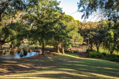 Pond, Trees ve Bridge in a Tranquil Natural Setting for relaxation in Piney Lakes Reserve, Perth, Avustralya, 16 Aralık 2020