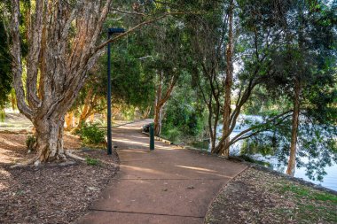 16 Aralık 2020 'de, güneşli Piney Gölleri Rezerv Parkı' ndaki Okaliptüs ağaçlarının altındaki göl kıyısındaki sakin, kıvrımlı patika.