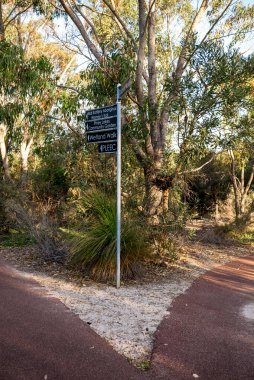Aborjin ve cemaatle birlikte patika direği okaliptüs çalılıklarında güneşli Piney Lakes Reserve Parkı, Perth, Avustralya, 16 Aralık 2020