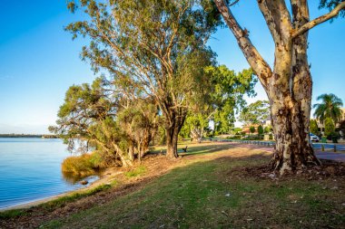 16 Mart 2021 'de, Shelley banliyösünde, Perth, Avustralya' da, Canning Nehri 'nin yanındaki ağaçların altında kırmızı yol kavisi paylaşıldı.