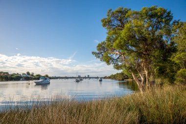 Canning Nehri, 16 Mart 2021 'de Rossmoyne sahilinden demirlemiş tekneler, köprü ve Perth ufuk çizgisi manzaralı.