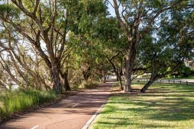 Canning Nehri boyunca kırmızı çizgili yol Rossmoyne banliyösü, Perth, Avustralya, 16 Mart 2021