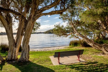 Rossmoyne banliyösündeki Canning Nehri 'ne bakan okaliptüs dallarının altında Perth, Avustralya, 16 Mart 2021