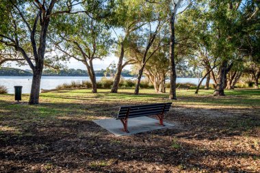 Rossmoyne banliyösündeki Canning Nehri 'ne bakan okaliptüs gölgeli bankın altında, Perth, Avustralya, 16 Mart 2021