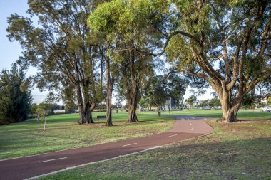 Serene riverside park pathway lined with tall eucalyptus trees under clear blue sky in Shelley suburb, Perth, Australia, 16 March 2021