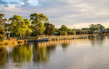 Wooden boardwalk over Canning River framed by trees in golden Shelley suburb sunset, Perth, Australia, 16 March 2021