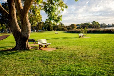 Open riverside park with tall eucalypts, benches and red path in Shelley suburb, Perth, Australia, 16 March 2021