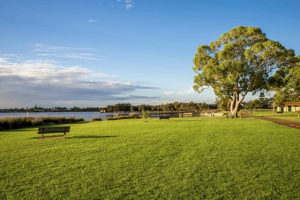 16 Mart 2021 'de, Shelley banliyösündeki uzak ufuk çizgisi üzerinde sakin su ve altın gün batımı olan sakız ağacının altındaki huzurlu göl kenarı bankında.