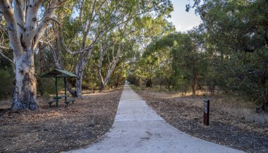 Bibra Gölü Parkı 'nda altın ışıklı okaliptüs altında düz yol, 1 Nisan 2021, Perth, Avustralya