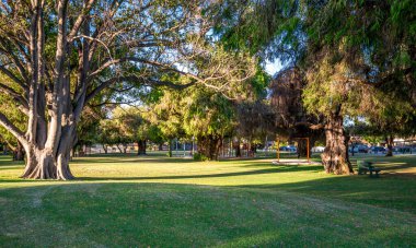 Güneşli Zeytin Rezervi Halk Parkı Büyük Ağaçlar, Oyun Bahçesi, Yeşil Çimen ve Gölgeli Banklar Öğleden Sonra, Perth, Avustralya, 25 Kasım 2021