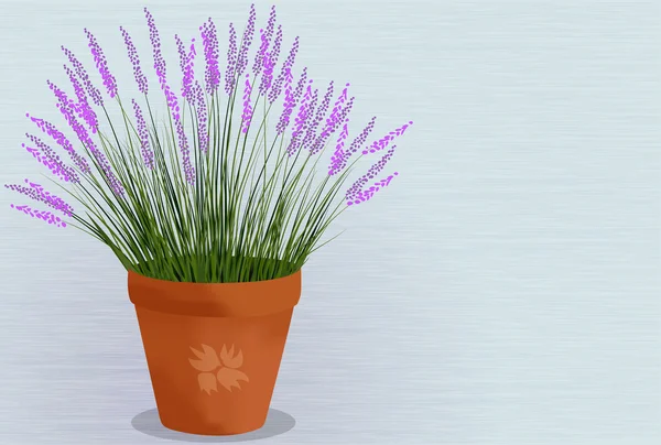 Lavanda en la olla — Vector de stock