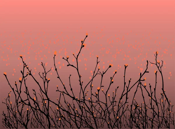 Zwarte Takken Bomen Struiken Rode Knoppen Zonsondergang Achtergrond — Stockvector