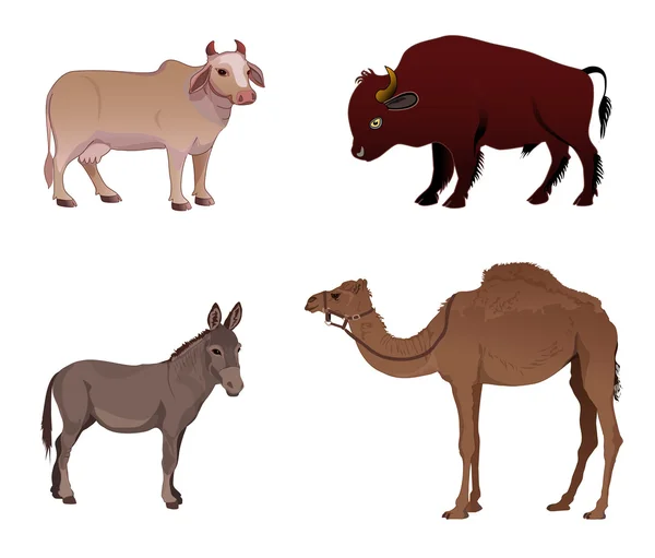 Set of farm animals — Stock Vector