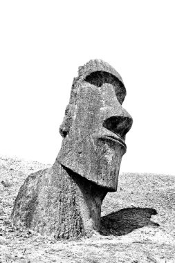 Siyah ve beyaz moai kafa bir tepede Paskalya Adası