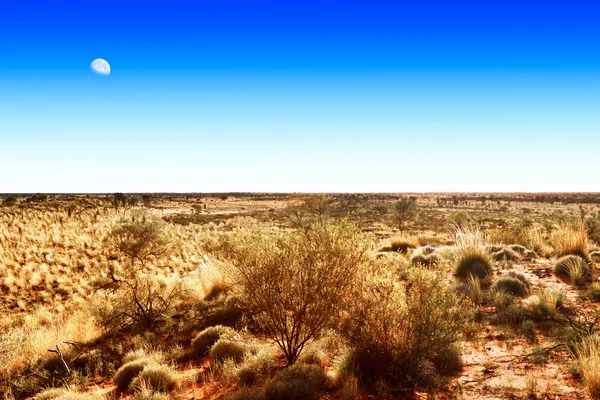 Mond über australischem Outback — Stockfoto