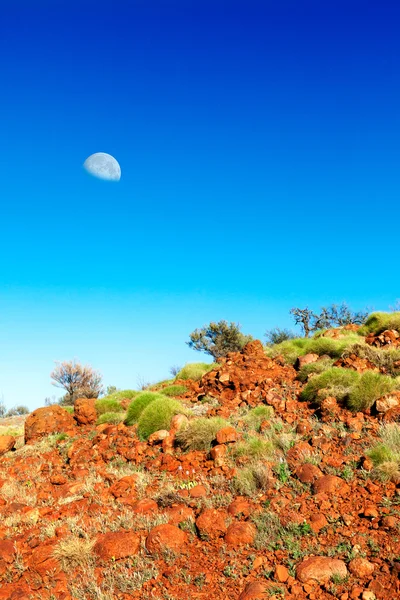 Soft green bushes on orange hillside in Australian outback with — Stock Photo, Image