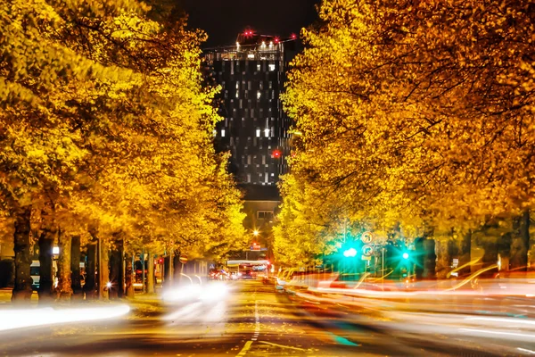 Gele herfst bomen en lange zwarte hotel nachts in Tampere, Fi — Stockfoto