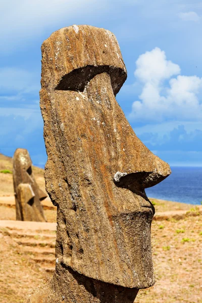 Head of a standing moai in Easter Island — Stock Photo, Image