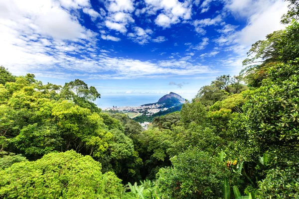 Vista aérea de Río de Janeiro a través de un frondoso bosque — Foto de Stock