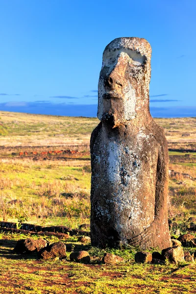 Moai in piedi sotto il sole splendente nell'Isola di Pasqua — Foto Stock