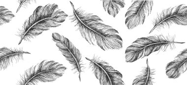 Beyaz arkaplanda el çizimi tüy