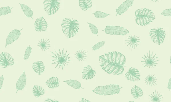 热带叶型 手绘插图 — 图库矢量图片