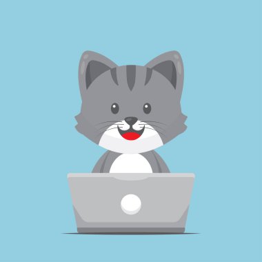 Dizüstü bilgisayarla çalışan Şirin Kedi