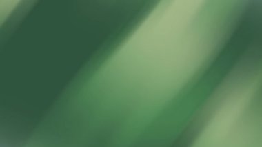 Bulanık soyut şekiller, değişen yeşil tonların değişkenleri. Web grafikleri, sunumlar, baskılar ve dijital sanat projeleri için mükemmel.