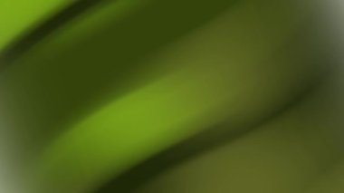 Işık efektli yeşil tonların derecesi. Doğal temalı tasarımlar, çevresel kampanyalar ve sakinleştirici görsel etki için sakin markalaştırma projeleri için uygundur.