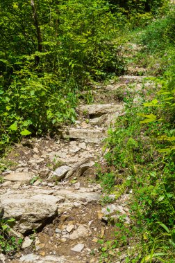 taş merdiven kadar lider